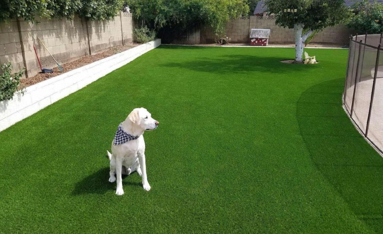 Beautiful artificial grass installation in Porterville, CA